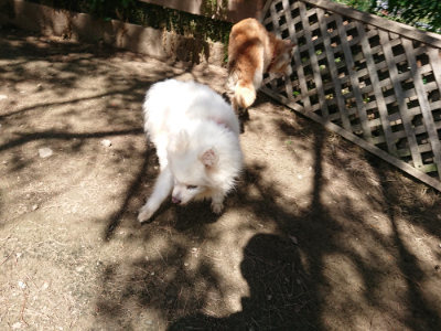 f:id:roukenhome-ann:20190613130512j:plain