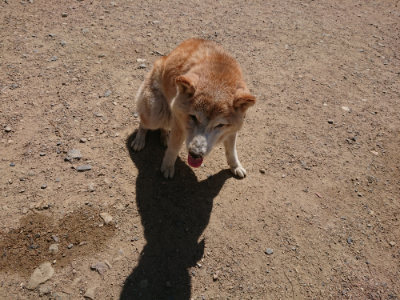 f:id:roukenhome-ann:20190613130534j:plain