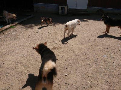 f:id:roukenhome-ann:20190613130633j:plain