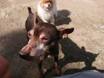 f:id:roukenhome-ann:20190613130732j:plain