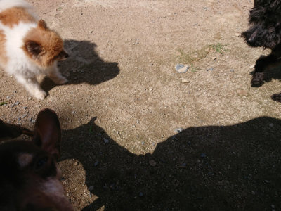 f:id:roukenhome-ann:20190613130737j:plain