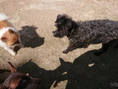 f:id:roukenhome-ann:20190613130742j:plain