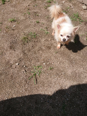 f:id:roukenhome-ann:20190613130828j:plain