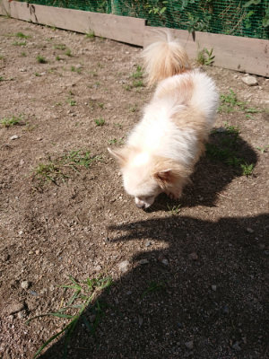 f:id:roukenhome-ann:20190613130834j:plain