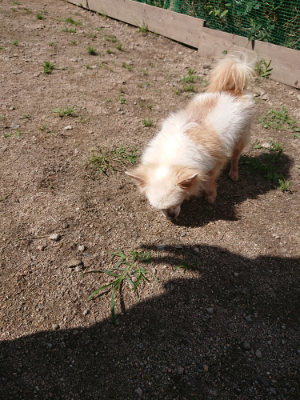 f:id:roukenhome-ann:20190613130850j:plain