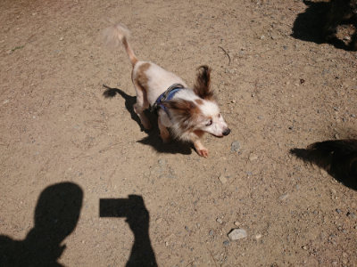 f:id:roukenhome-ann:20190613140126j:plain