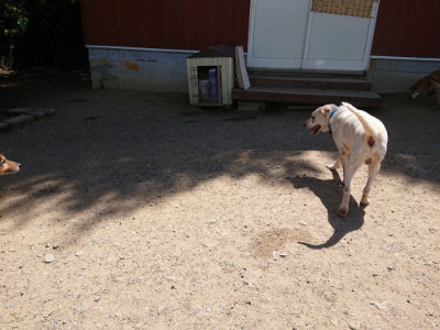 f:id:roukenhome-ann:20190613140131j:plain