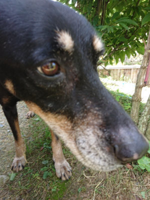 f:id:roukenhome-ann:20190613140200j:plain