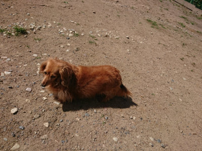 f:id:roukenhome-ann:20190613140228j:plain