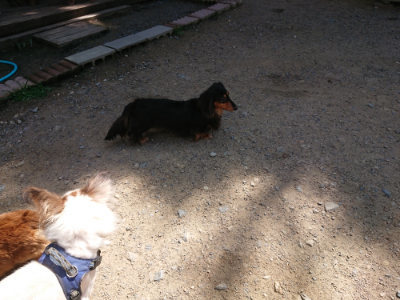 f:id:roukenhome-ann:20190613140302j:plain