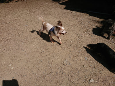 f:id:roukenhome-ann:20190613140315j:plain