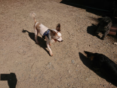 f:id:roukenhome-ann:20190613140320j:plain