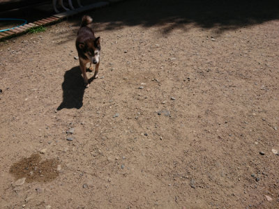 f:id:roukenhome-ann:20190613140337j:plain