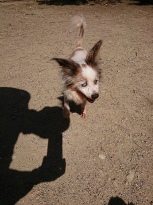 f:id:roukenhome-ann:20190613140359j:plain