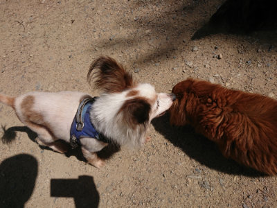 f:id:roukenhome-ann:20190613140414j:plain