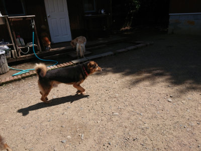 f:id:roukenhome-ann:20190613140418j:plain