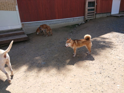 f:id:roukenhome-ann:20190613140423j:plain