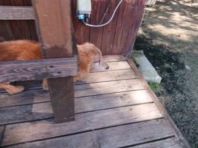 f:id:roukenhome-ann:20190613140534j:plain