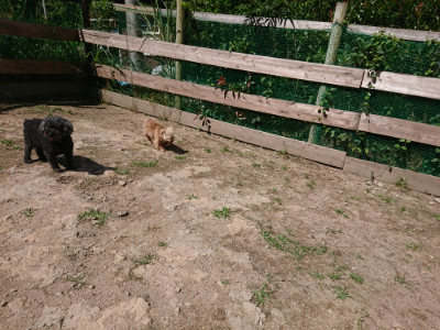 f:id:roukenhome-ann:20190613140539j:plain