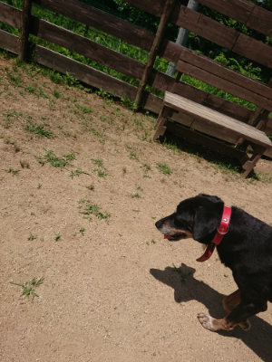 f:id:roukenhome-ann:20190613140544j:plain