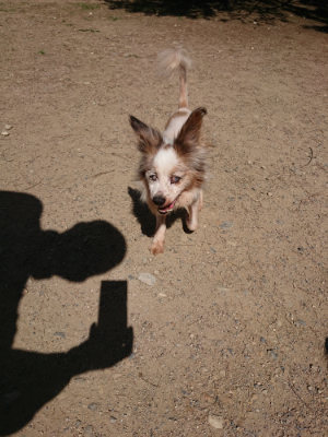 f:id:roukenhome-ann:20190613140549j:plain