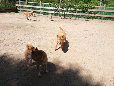 f:id:roukenhome-ann:20190613140554j:plain