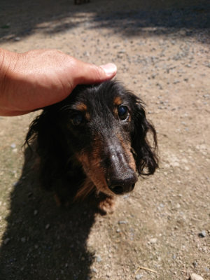 f:id:roukenhome-ann:20190613140607j:plain