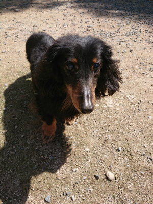 f:id:roukenhome-ann:20190613140612j:plain