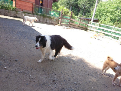 f:id:roukenhome-ann:20190613140617j:plain