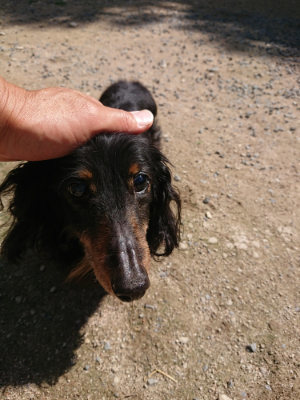 f:id:roukenhome-ann:20190613140627j:plain