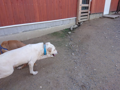 f:id:roukenhome-ann:20190613140704j:plain