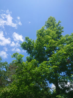 f:id:roukenhome-ann:20190613140708j:plain