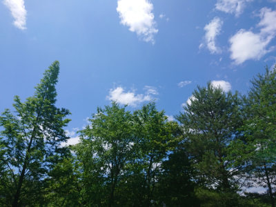 f:id:roukenhome-ann:20190613140716j:plain
