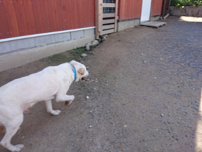 f:id:roukenhome-ann:20190613140724j:plain