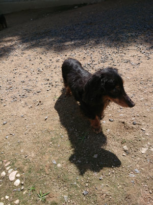 f:id:roukenhome-ann:20190613140733j:plain