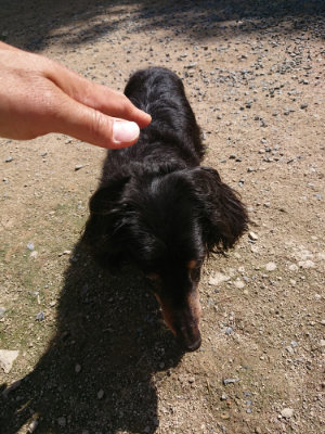 f:id:roukenhome-ann:20190613140751j:plain