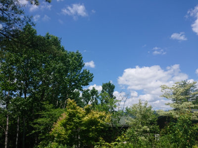 f:id:roukenhome-ann:20190613140800j:plain
