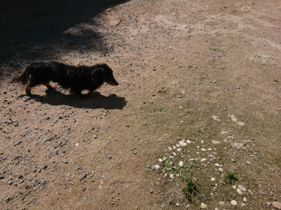 f:id:roukenhome-ann:20190613140806j:plain