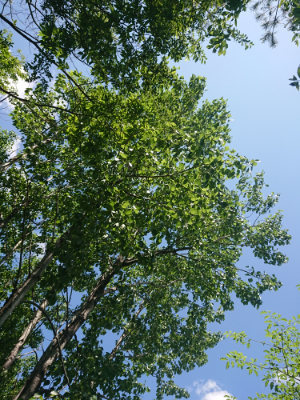 f:id:roukenhome-ann:20190613140816j:plain