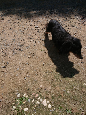 f:id:roukenhome-ann:20190613140821j:plain