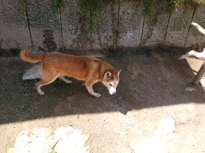 f:id:roukenhome-ann:20190613140825j:plain