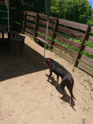 f:id:roukenhome-ann:20190613140830j:plain