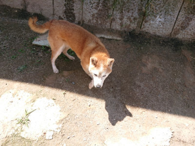 f:id:roukenhome-ann:20190613140843j:plain