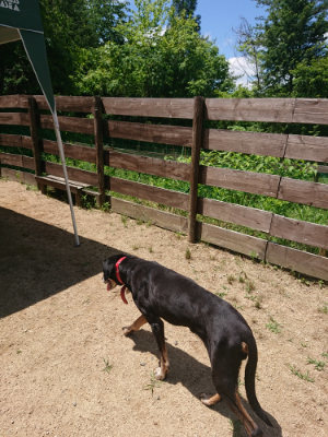 f:id:roukenhome-ann:20190613140848j:plain