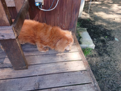 f:id:roukenhome-ann:20190613140852j:plain