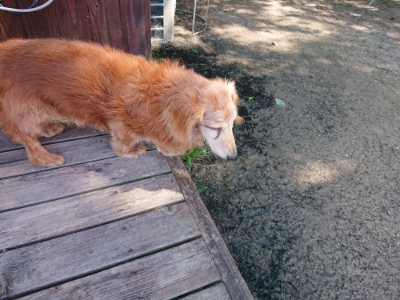 f:id:roukenhome-ann:20190613140857j:plain