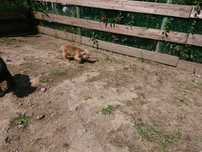 f:id:roukenhome-ann:20190613140902j:plain