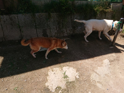 f:id:roukenhome-ann:20190613140906j:plain