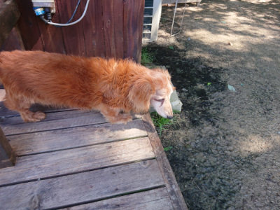 f:id:roukenhome-ann:20190613140911j:plain