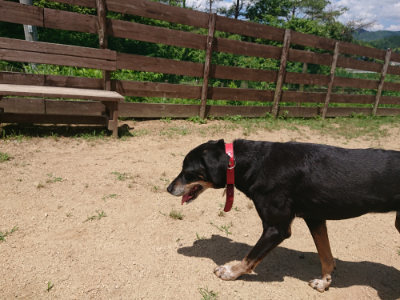 f:id:roukenhome-ann:20190613140924j:plain